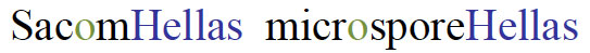 SacomHellas microsporeHellas